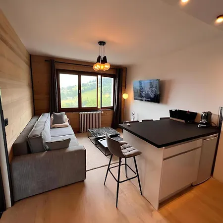 Vue Mont Blanc, Ski Et Village Combloux Exterior foto