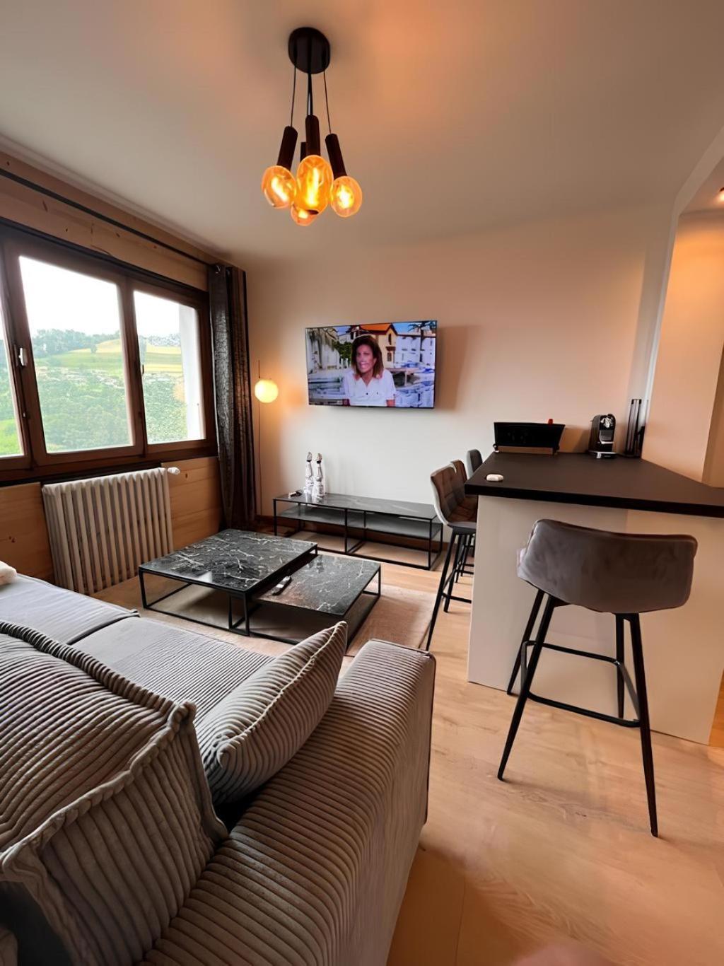 Apartment Vue Mont Blanc, Et Village Combloux